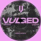VA - Vulged Records Various Artists 001