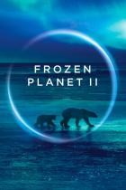 Frozen.Planet.II.S01E03.GERMAN.DL.DOKU.BDRiP.x264-PL3X