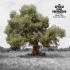 The Apulian Blues Foundation - Traditional Songs About Life, Death and Rebirth
