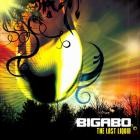 Bigabo - The Last Liquid