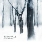 Lost Prospect - Snowfall