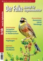 Der Falke - Journal fuer Vogelbeobachter 05/2023