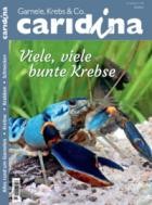 caridina 03/2025