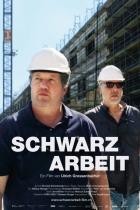 Schwarzarbeit.2022.GERMAN.DOKU.HDTVRip.x264-TMSF