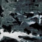 Mick Jenkins and Emil-A Murder Of Crows-WEBUVU