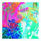 Gratts - Horizons Renewed