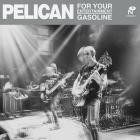 Pelican - For Your Entertainment (Unwound Cover)