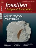 FOSSILIEN - Erdgeschichte erleben 05/2024