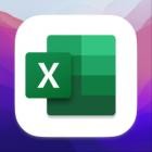 Microsoft Excel 2021 for Mac LTSC v16.55 VL