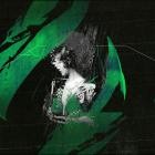 26 - https:limbotapes bandcamp comalbumlimb003-carvings-vol-2