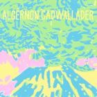 Algernon Cadwallader - Trying Not To Have A Thought