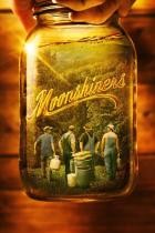 Moonshiners.-.Die.Schwarzbrenner.von.Virginia.S12E22.Mehr.Glueck.als.Verstand.German.DOKU.WEB.X264-GWD