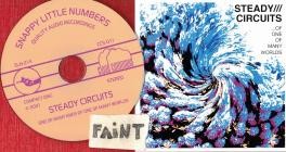 Steady Circuits-One Of Many Ends Of One Of Many Worlds-CD-FLAC-2021-FAiNT