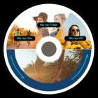 AnyMP4 Blu-ray Ripper v8.0.65 (x64)
