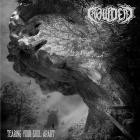 Crowdead - Tearing Your Soul Apart