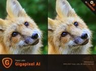 Topaz Gigapixel AI v6.0.0 (x64)