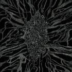 Blessed By Perversion - Between Roots And Darkness