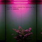 VA-The Resistance Vol  1  Mixed By Asymptote - TR001 -16BIT-WEB-FLAC-2017-AGITB