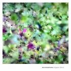 Automatisme - Hyper-Grit