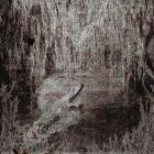 Jackal - Minus Growth
