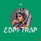 DJ Trendsetter - The Best of EDM Trap