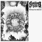 Hating Life - Revenge from Beyond