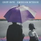 Gruff Rhys - American Interior Remastered