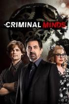 Criminal Minds - Staffel 5