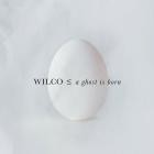 Wilco - A Ghost Is Born (Expanded Edition)