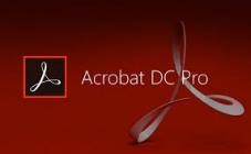 Adobe Acrobat Pro DC 2025.001.20630 (x64) Portable