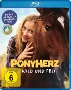 Ponyherz