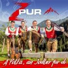 Zpur Die Zillertaler Musikanten - A Polka An Jodler Fuer Di