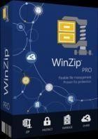 WinZip Pro v28.0 Build 15620g (x64)