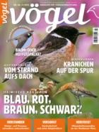 Voegel - Magazin fuer Vogelbeobachtung 86/2025