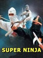 Ninja Force