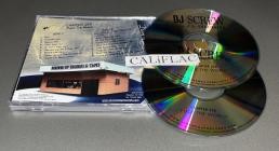 VA-DJ Screw - Diary of the Originator - Chapter 258 - Fuck The World