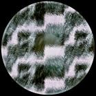 James Begley - Blur Archive