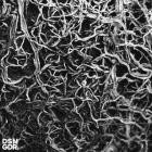 Biorc - After Us, the Flood