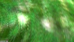 NikkiSims.20.01.26.Woods.Walk.Full.XXX.1080p.MP4-LEWD