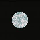 Huerta - ShopURL : https:amadeusrecords bandcamp comalbumamaso