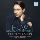 Huw Montague Rendall - Contemplation