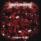 Your True Enemy - Cruises Of Life