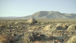 Ein.Planet.vor.unserer.Zeit.S03E04.GERMAN.DL.DOKU.1080p.WEB.h264-HAXE