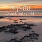 Arpido - Wonderful World