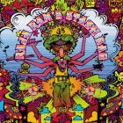 VA - Raja Ram's Stash Bag