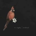 In Angles - Cardinal