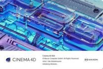 Maxon CINEMA 4D Studio R25.010 (x64)