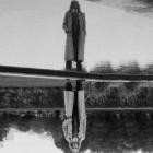 Capitol K - Artichoke