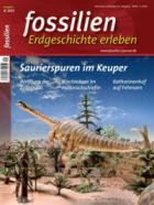FOSSILIEN - Erdgeschichte erleben 06/2025