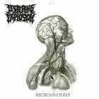 Festering Explosion - Necroanatomy